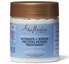 Shea Moisture Manuka Honey & Yogurt Hydrate + Repair Protein Power Treatment